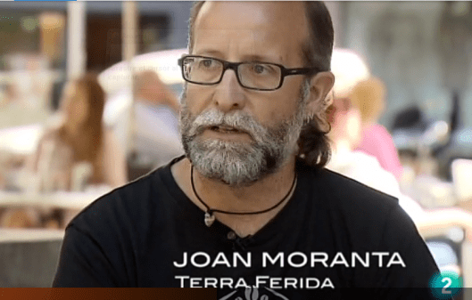 Escarabajo Verde.PNG